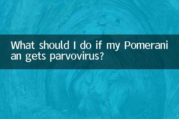 ¿Qué debo hacer si mi pomerania contrae parvovirus?