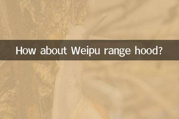 ¿Qué tal la campana extractora Weipu?