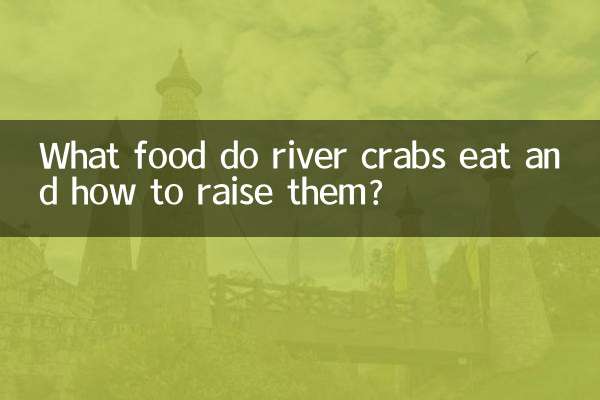 What food do river crabs eat and how to raise them?