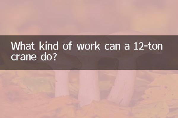 Che tipo di lavoro può svolgere una gru da 12 tonnellate?