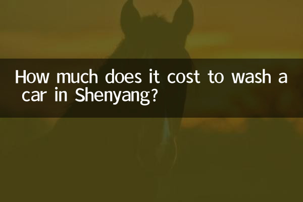 瀋陽洗車多少錢