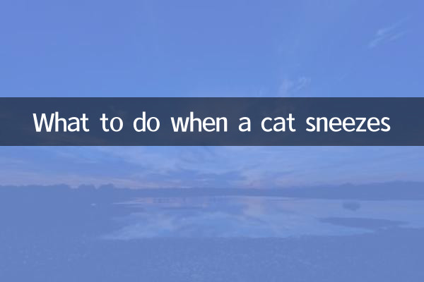 O que fazer quando um gato espirra