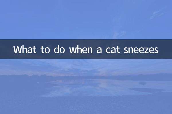 ماذا تفعل عندما تعطس القطة