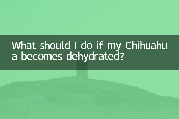 Que dois-je faire si mon chihuahua se déshydrate ?