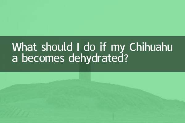 O que devo fazer se meu chihuahua ficar desidratado?