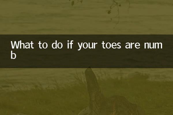 腳趾頭麻木怎麼辦