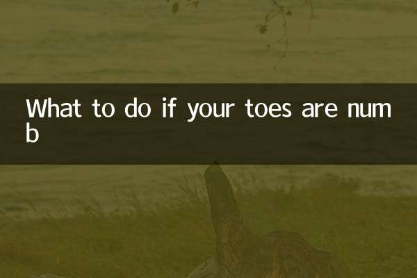 腳趾頭麻木怎麼辦