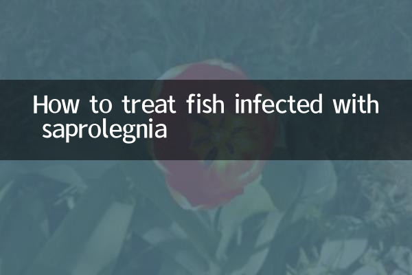 魚得了水黴病怎麼治療