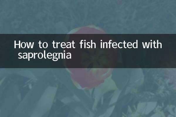 Como tratar peixes infectados com saprolegnia