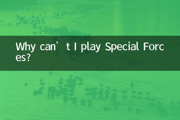 왜 스페셜포스를 플레이할 수 없나요?