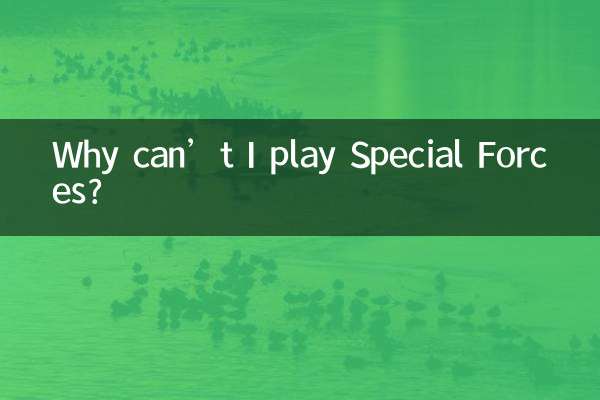 왜 스페셜포스를 플레이할 수 없나요?