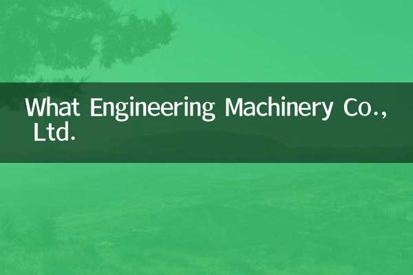 什么工程机械有限公司