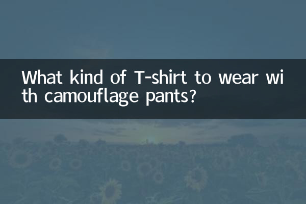 ক্যামোফ্লেজ প্যান্টের সাথে কি ধরনের টি-শার্ট পরবেন?