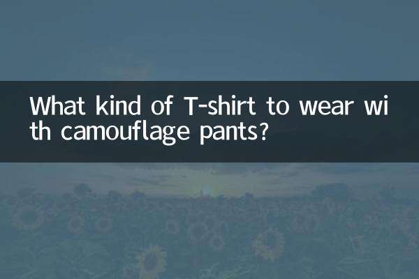 Que tipo de camiseta usar com calças camufladas?