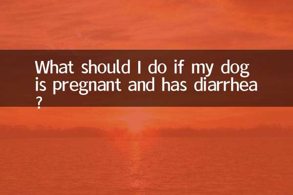 What should I do if my dog is pregnant and has diarrhea?