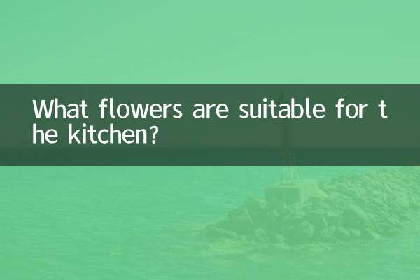 Quali fiori sono adatti per la cucina?