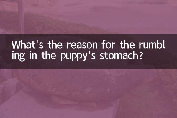 কুকুরছানা এর পেটে rumbling জন্য কারণ কি?