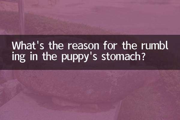 کتے کے پیٹ میں ہنگامہ آرائی کی کیا وجہ ہے؟