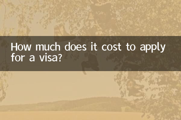 Quanto custa para solicitar um visto?