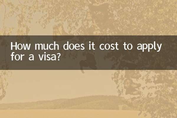 ビザの申請にはいくらかかりますか?