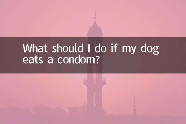 ¿Qué debo hacer si mi perro se come un condón?