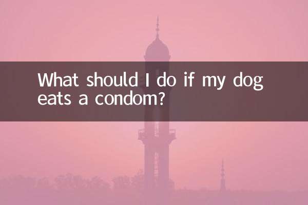 ماذا علي أن أفعل إذا أكل كلبي الواقي الذكري؟