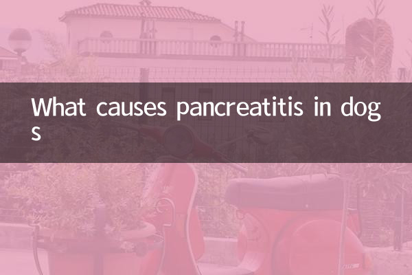 강아지 췌장염의 원인