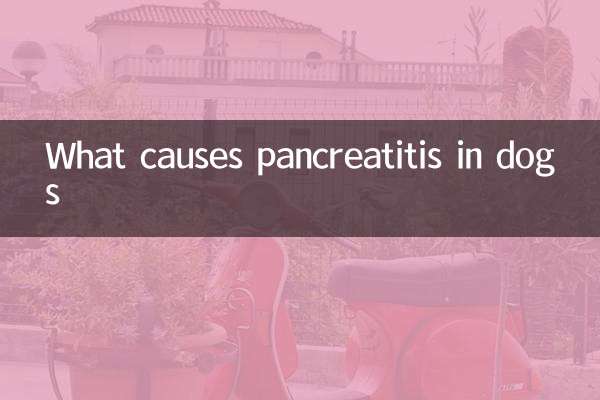 Что вызывает панкреатит у собак