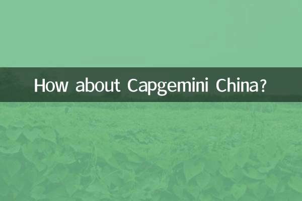 কিভাবে Capgemini চীন সম্পর্কে?