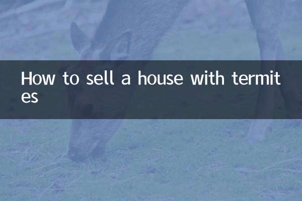 シロアリのいる家を売る方法