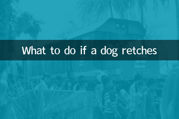 犬が吐き気を催した場合の対処方法