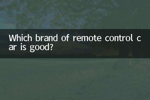 遥控车什么品牌好