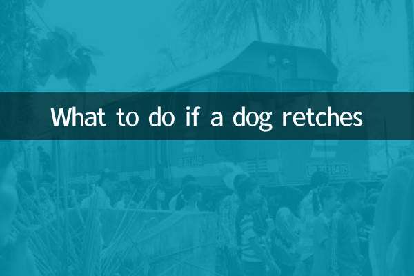 犬が吐き気を催した場合の対処方法