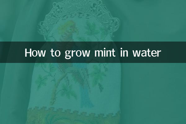 پانی میں پودینہ کیسے اگائیں