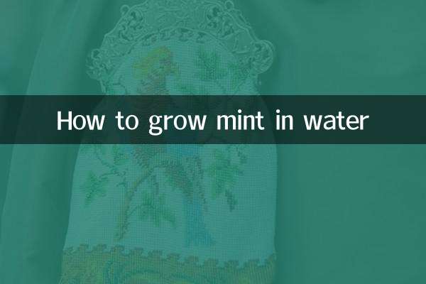 پانی میں پودینہ کیسے اگائیں