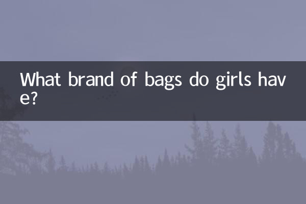 女の子はどこのブランドのバッグを持っていますか？