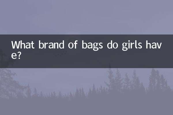 মেয়েদের কি ব্র্যান্ডের ব্যাগ আছে?