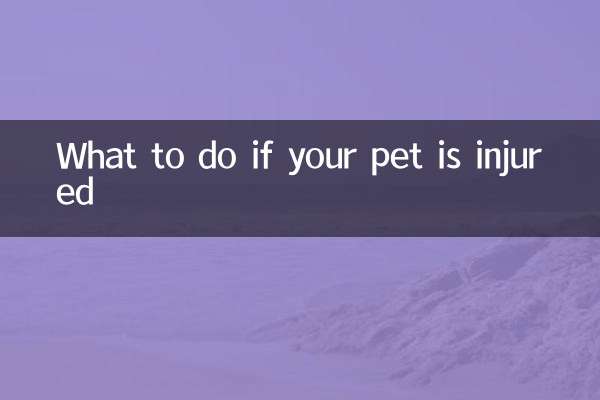 Qué hacer si tu mascota se lesiona