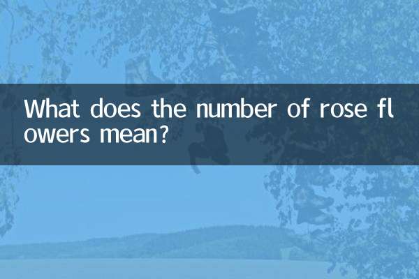 O que significa o número de flores rosas?