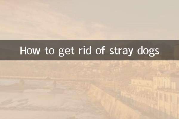 কিভাবে বিপথগামী কুকুর পরিত্রাণ পেতে