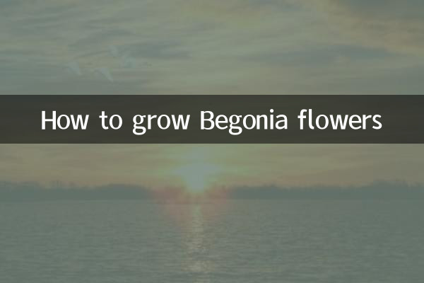 Как вырастить цветы бегонии