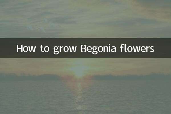 ベゴニアの花の育て方