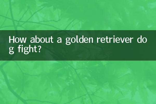 ¿Qué tal una pelea de perros golden retriever?