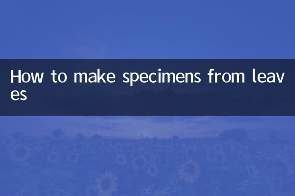 Wie man aus Blättern Präparate herstellt