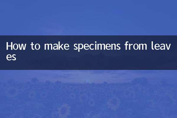 How to make specimens from leaves