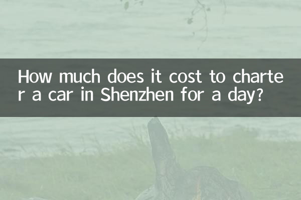 How much does it cost to charter a car in Shenzhen for a day?
