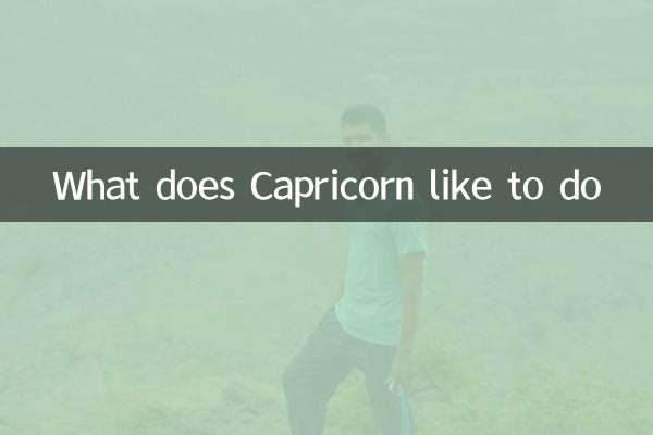 What does Capricorn like to do