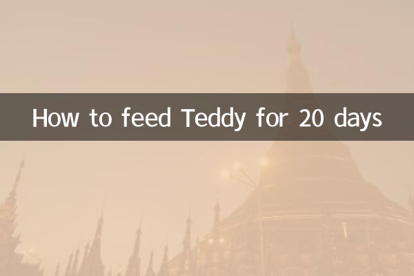 Cómo alimentar a Teddy durante 20 días.