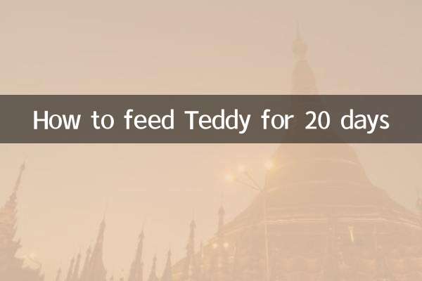 Cómo alimentar a Teddy durante 20 días.