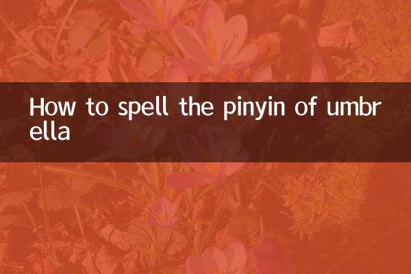 雨傘的拼音怎麼拼